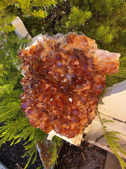 Beautiful Brazilian Citrine Cluster – 2.1kg Raw With Positive Energy - Image 8