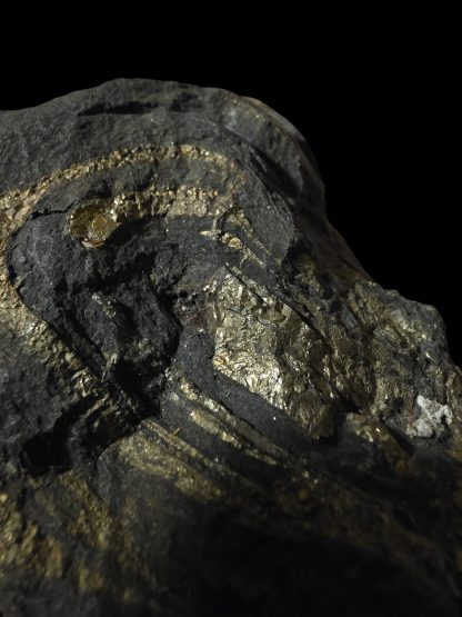 Pyrite Specimen Emu Head ~ A Natural Masterpiece - Image 3