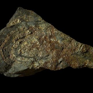 Emu Head Pyrite Specimen