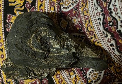 Pyrite Specimen Emu Head ~ A Natural Masterpiece - Image 6