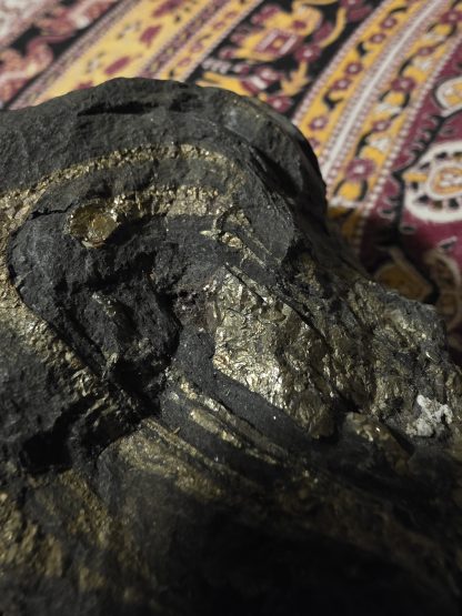 Pyrite Specimen Emu Head ~ A Natural Masterpiece - Image 5