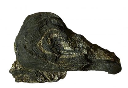 Pyrite Specimen Emu Head ~ A Natural Masterpiece - Image 4