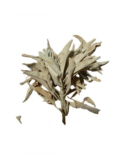 Australian Grown White Sage (Premium Loose Leaf) 250 gm Bags - Image 2